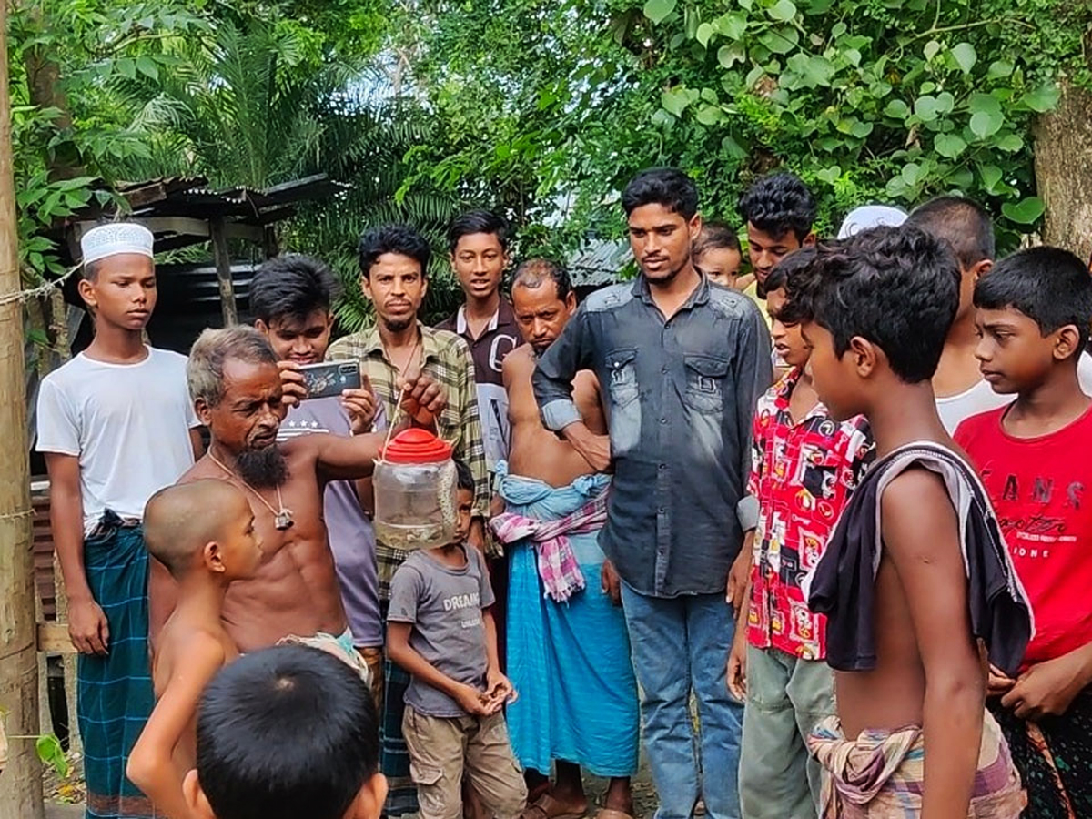 কলাপাড়ায় পুকুরে ধরা পড়ল রাসেলস ভাইপার